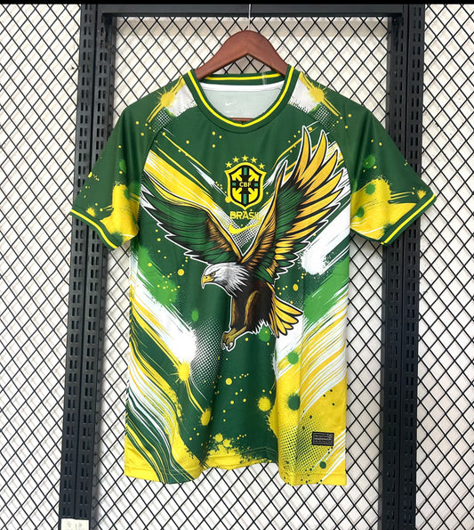 2025/26 Brazil
